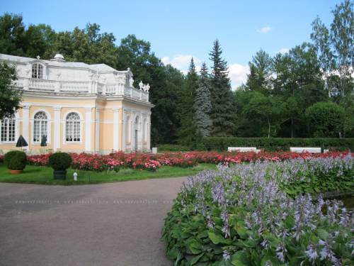 розарий Санкт-петербург парки (189)